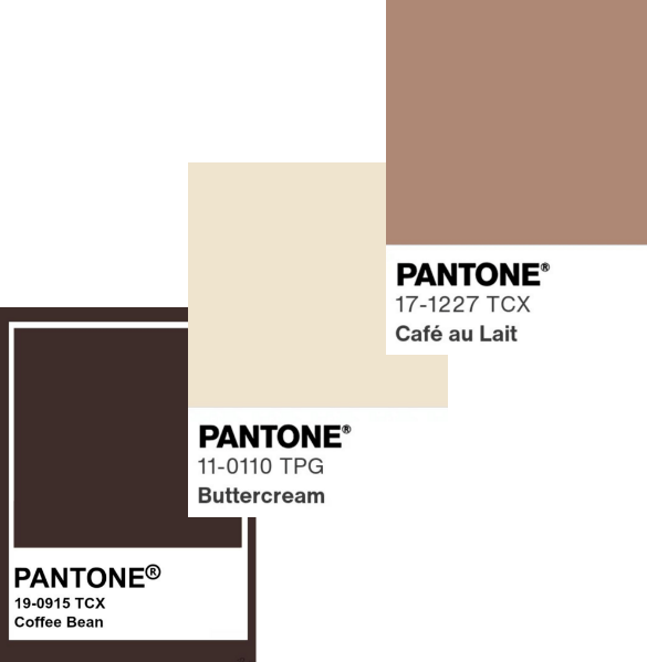 Coffee and Cream Color Palette